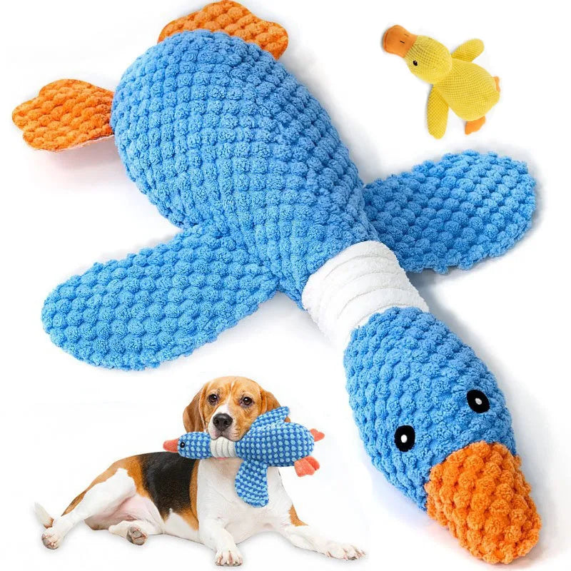 CleanPet Fetch & Fun Ball